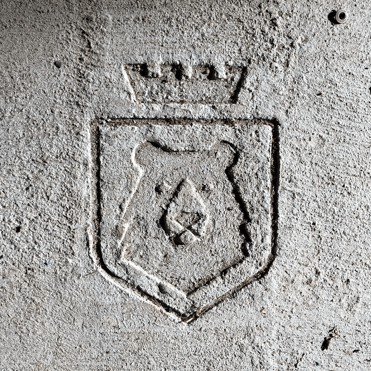 BearKing_Logo-Cement